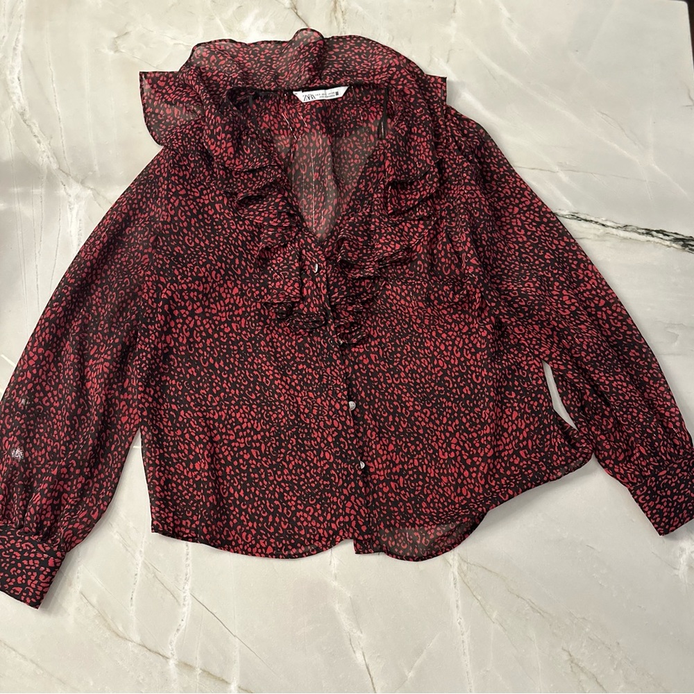 Zara sheer blouse